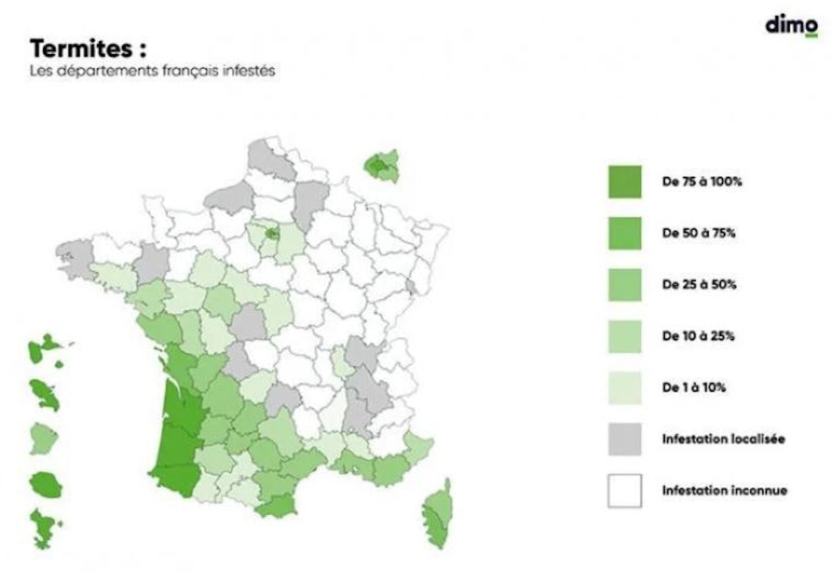 Diagnostic termites zones et départements concernés Dimo diagnostic